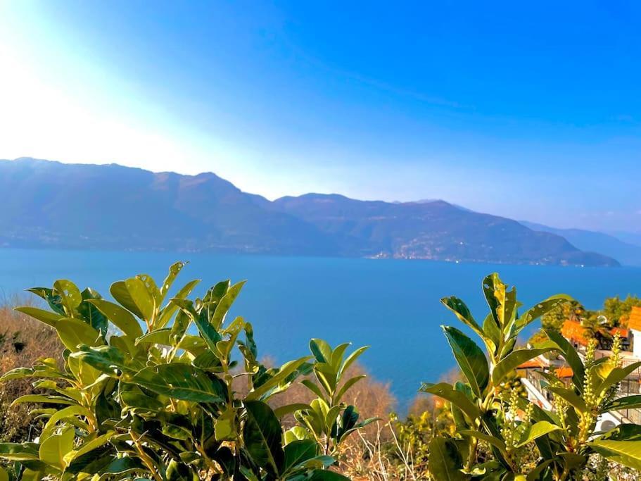 Apartamento Belvedere
